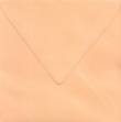 Briefumschlag-quadratisch-Kuverts-lose-UEQ 06-aprikot