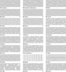 Ursus-White Line-Transparentpapier-A4-115g/qm-02 Herzlichen Gl�ckwunsch - Bild vergr��ern 