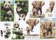 3D Etappen-Bogen-416964- Elefant und Panda mit Jungtieren