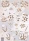 3D Etappen-Bogen-v.V.2337-Blumen - grau T�ne 