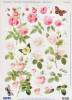 3D Stanzbogen - �Reddy Cards - 82101 - Rosen rosa / rose / wei&szlig;