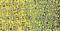 Zier-Sticker-Bogen-Sterne-holo-gold-9060hog